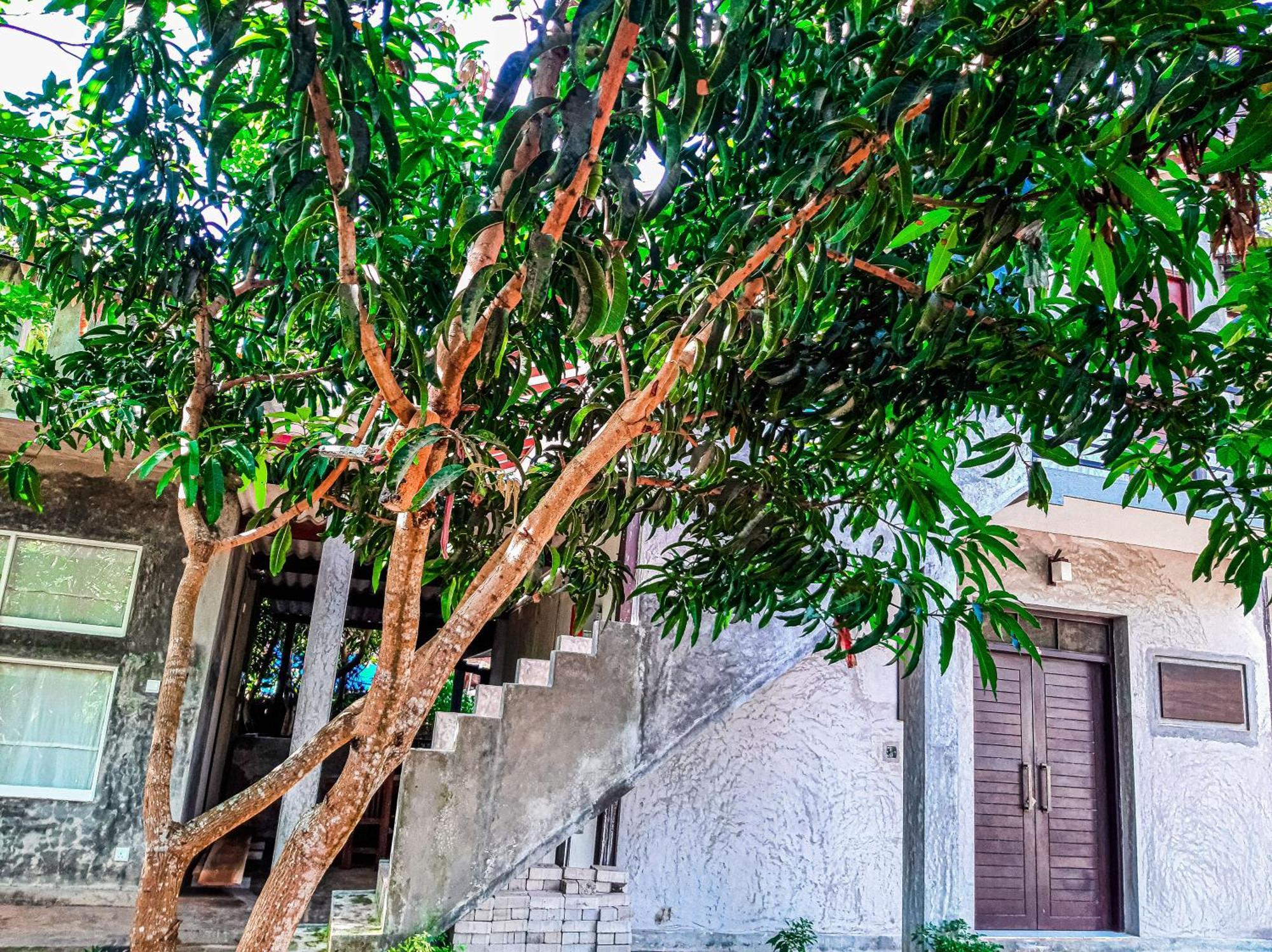 Dollyz Home - Sri Lanka Ambalangoda (Galle) Exterior foto